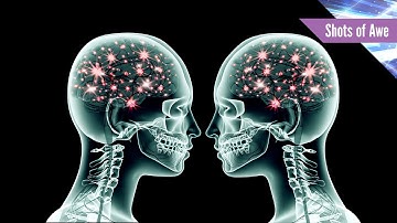 What Is Brain Coupling?