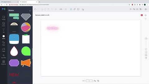 MagicInfo Services shows the features of the W-Player