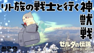 【ブレワイ】リト族の戦士さん初めまして戦いましょう #29🍣いい旅・ぬい気分【ゼルダの伝説BotW/むぅたま VTuber】
