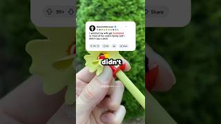 I saw my wife being insulted and I could do nothing. #redditstories #story#funny #usa #shorts