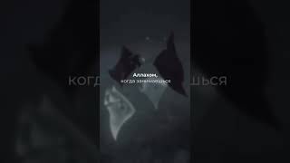 Все временно совершайте больше блогого#ислам#исламский мир