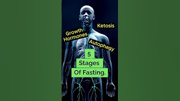 5 Phases Of Fasting | #autophagy | #ketosis | #shorts