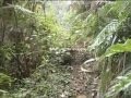 Cueva del Encanto de Mexcalcuautla (Aire Libre) en Teziutlan, Puebla