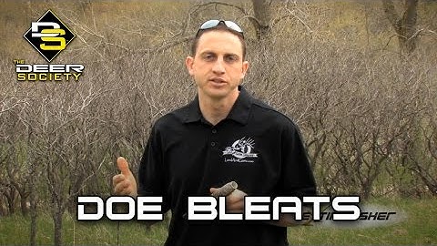 Deer Calling - Doe & Fawn Bleats