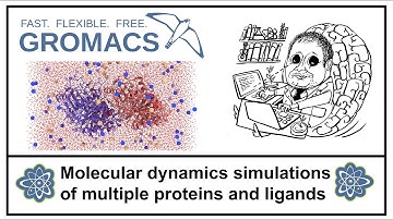 Molecular dynamics simulations of multiple proteins and ligands - GROMACS 2025.2