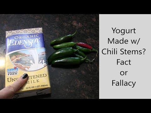 Vegan Yogurt made with Chili Stems????
