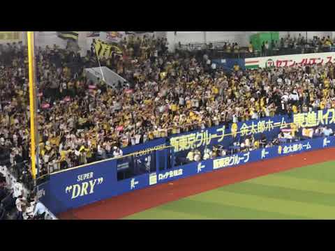 6/6ロッテ阪神