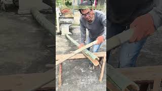 Splitting the Stem: Why This Bamboo Cut Defines Its Future Use