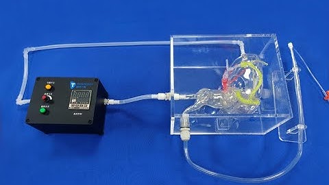 Percutaneous Coronary Intervention | PCI Simulator | PCI Training Simulator