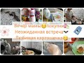 ВЕЧЕР МАМЫ😊/встретили ЛЕТУЧУЮ МЫШЬ🦇/любимое КАРТОФЕЛЬНОЕ ПЮРЕ😋/ГАЛАМАРТ🛍/покупка продуктов