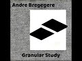 Andre bregegere  granular study 2023