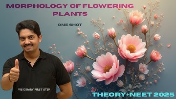 Morphology of flowering plants 1