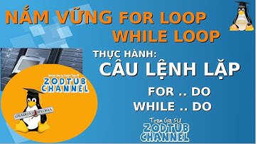 Tin Học Lớp 8: Bài Thực Hành 5 + 6: For..do | While..do - XEM XONG HẾT SỢ VÒNG LẶP TRONG PASCAL