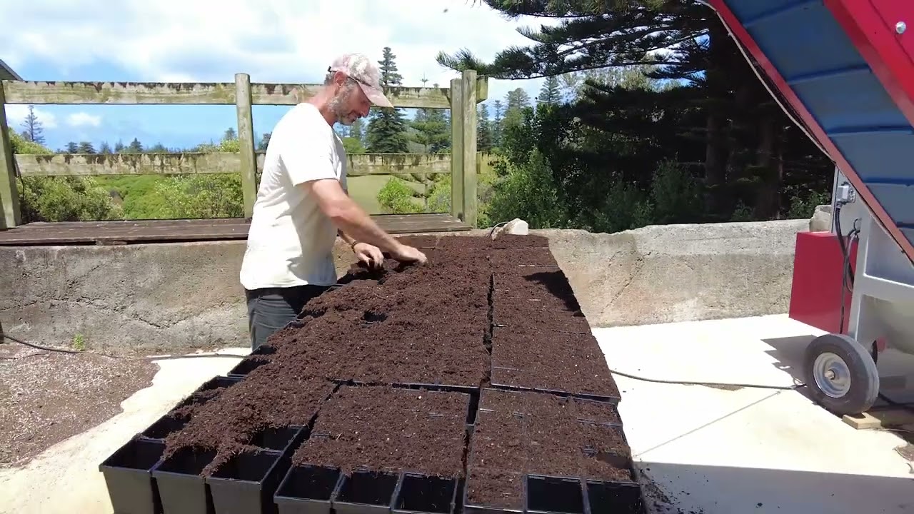 Saving The Mountain Procris - Norfolk Island National Park and Botanic Garden