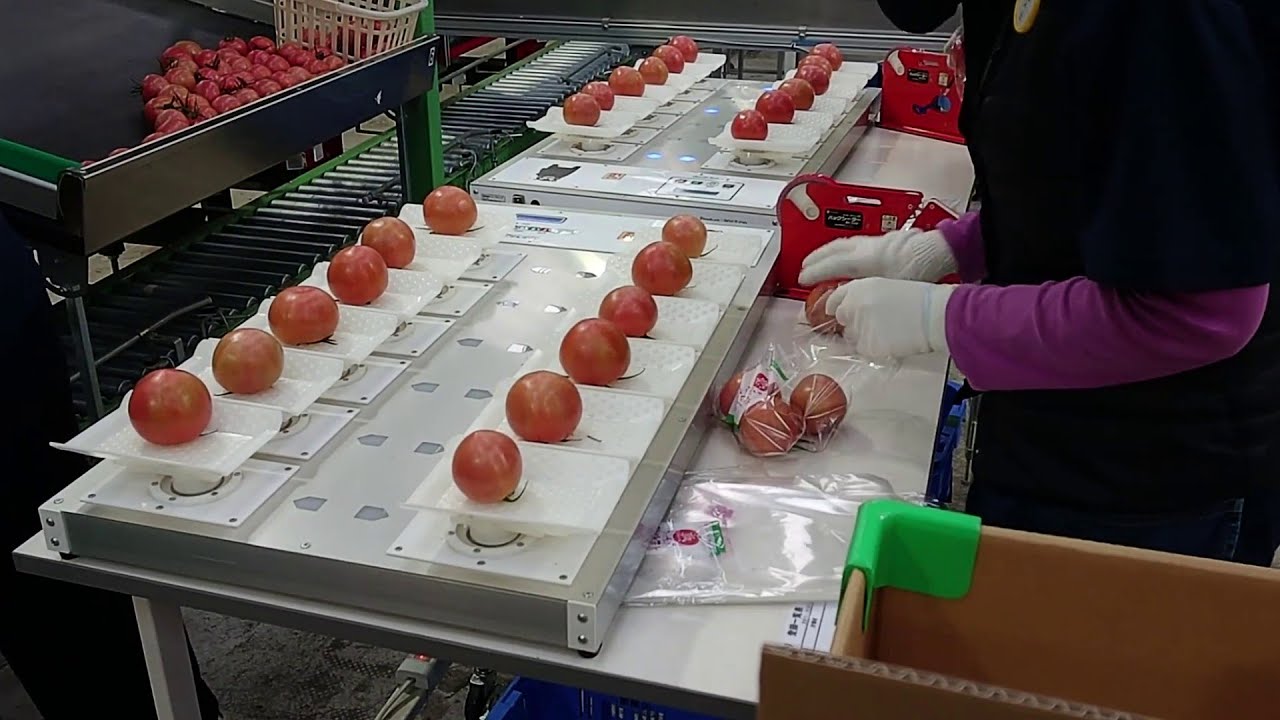 Smartest Weighing Scale In The World - Japanese Technology