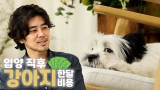 강아지 입양시, 첫 한달 비용은 ?ㅣ수의사가 알려주는 ✅만초의 법칙 : 강아지 입양전 EP.4