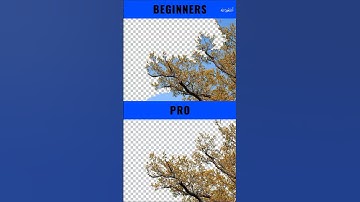 Beginners vs Pro | Best Way to Select Trees in Photoshop - Using Channels