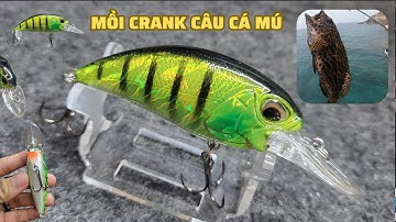 Mồi giả câu cá dạng Crank siêu nhạy có săn mồi, mồi câu cá Mú,Hồng,Tráp hiệu quả | Đồ Câu Cá T3 |