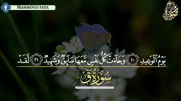 سورة ق كامله اصدار جديد | محمود فضل Sorate kaf Mahmoud Fadl