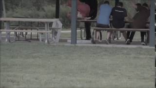 pink guy ruins picnic (original speed)