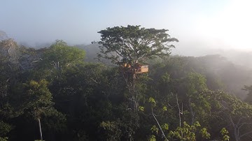 TreeHouse Community - #141 Alta Sanctuary in Peru