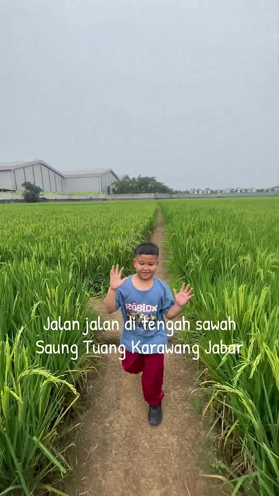 Jalan jalan di tengah sawah Karawang Jabar