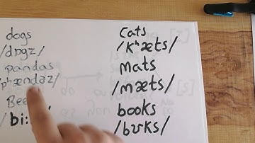 A phonological rule(1)