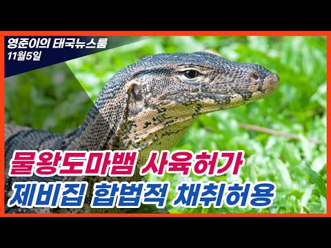 2024년 11월5일 태국뉴스, 태국 공공부채 GDP대비 70%이하로 관리, 스즈키자동차 태국내 생산 중단, 태국 국가통신사 원웹 저궤도 위성통신 게이트웨이 설치 4억바트 투자,