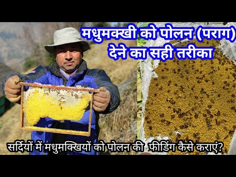 वीडियो: सर्दियों के लिए मधुमक्खियों को कैसे तैयार करें