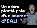 Les Psaumes: Un Arbre Planté Près D’un Courant D’eau