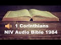 The holy bible 1 corinthians niv 1984 audio bible 1st corinthians 1984 niv audio bible reading bible