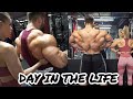 Couples Back Workout - Day In The Life | Regan Grimes