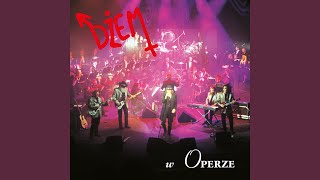 Video thumbnail of "Dżem - To tylko dwa piwa (Live)"