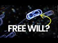 Do all living things have free will? Or are they controlled by DNA and other forces?