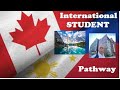 Cebu - Taiwan - Toronto 🇨🇦#internationalstudentsincanada  #canada  #centennialcollege
