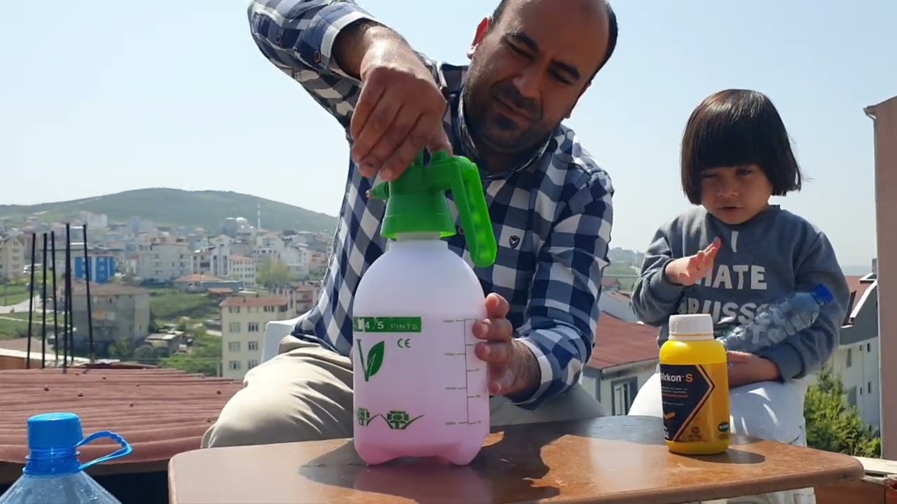 GÜVERCİNLERİMİ KORUYORUM  🛡🛡🛡virkon s virüslere ve bakterilerle mücadele