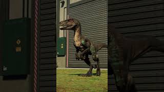 TRex vs Raptor - Jurassic World Evolution 2 #Shorts