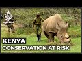 Kenya: Lack of funds puts conservation projects at risk