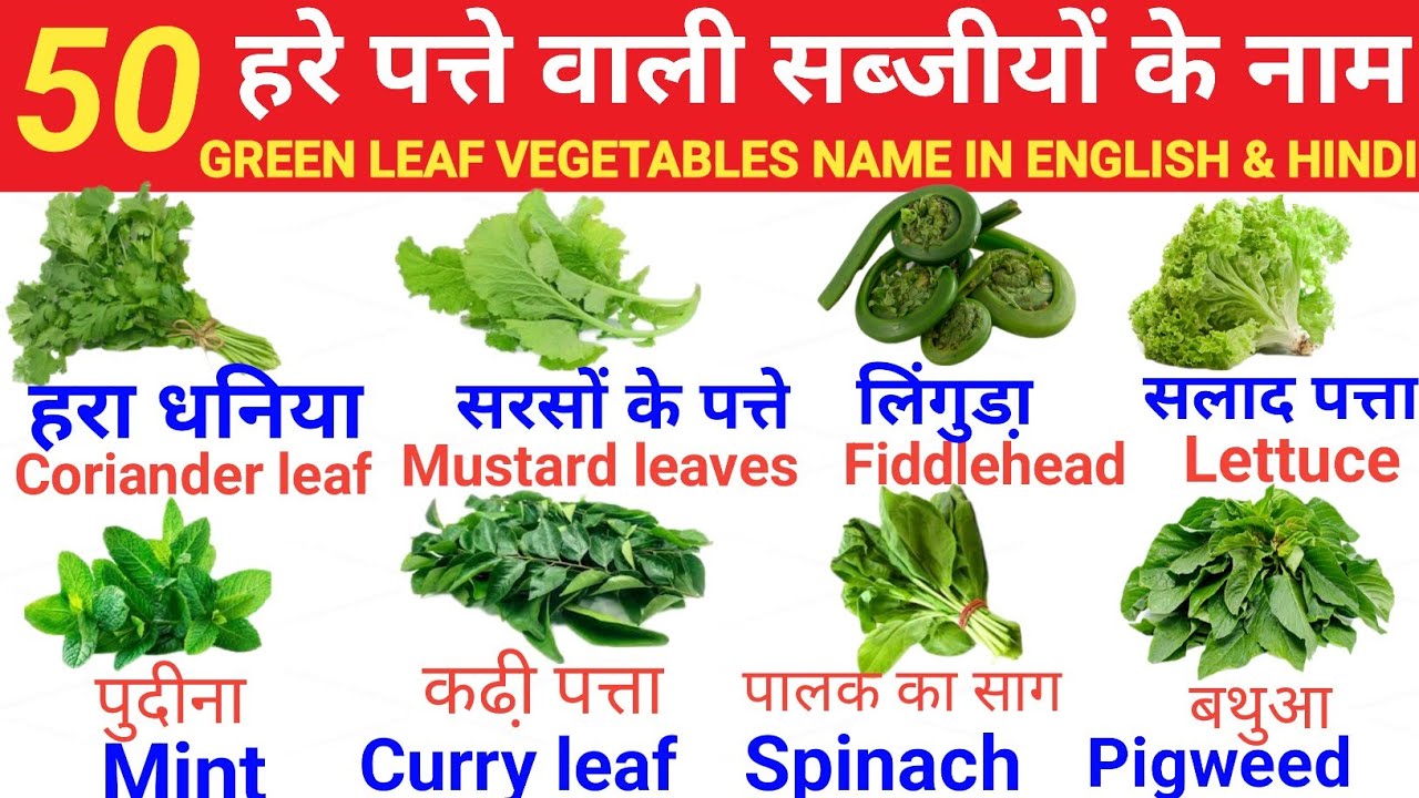 Green Vegetables name in english & hindi Hari sabjiyon ke nam हरी