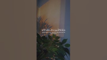 تلاوه من سورة الحجر|بصوت القارئ هيثم الدخين 🎧✨ #trending #قران_كريم #quran #قرآن