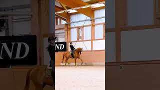 супер-конная-аммуниция 😍 #horse