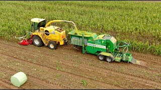 Maize Chopping Baling and Wrapping in one pass | New Holland FX60 & Agronic multibaler NI'J Holthoes