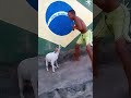 The perfect video doesn't exi- #masquenada
