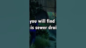 Did You Know That In SAINTS ROW...