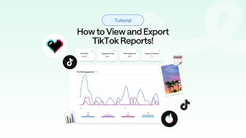 How to View and Export TikTok Reports!