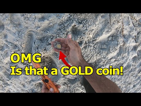 Did I Find A Gold Coin At The Beach!