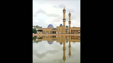د.عاصم اللحيدان - سورة الأنبياء (92-112) من صلاة التروايح لعام 1436هـ