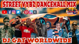 Raw Dancehall Mix March 2024 Rajahwild, Intence, Kraff Malie Don, Iwaata Aidonia 1876-899-5643