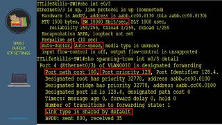 EtherChannel Interface Requirements
