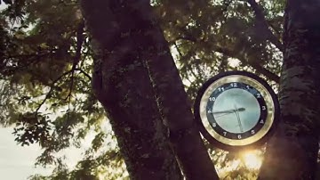 " مثل الذين اتخذوا من دون الله.." تلاوة من سورة العنكبوت Surah Al-Ankaboot Quran